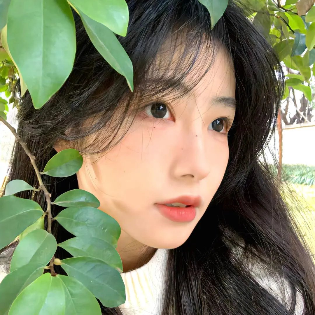 摩登女婿